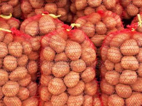 Eladó Eszme étkezési burgonya Eladó Eszme étkezési burgonya