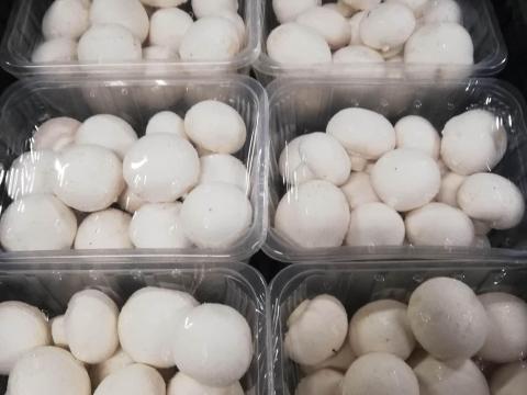 Fehér csiperkegomba értékesítés viszonteladóknak Budafokon/Nagytétényben Fehér csiperkegomba értékesítés viszonteladóknak Budafokon/Nagytétényben