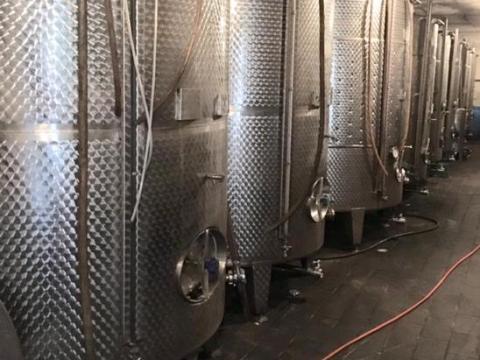 Ráckevei OEM fehér, rozé és vörös borok kis- és nagy tételben eladók Ráckevei OEM fehér, rozé és vörös borok kis- és nagy tételben eladók