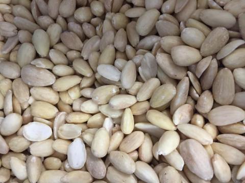 Mandulabél 4200 Ft, blansírozott Mandulabél 4200 Ft, blansírozott