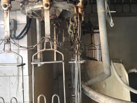 Baromfi vágóhíd Baromfi vágóhíd