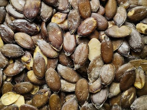 Héjnélküli Magyar Étkezési Tökmag Eladó Postai Utánvéttel