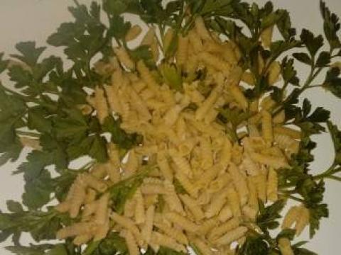 Házi csigatészta Házi csigatészta