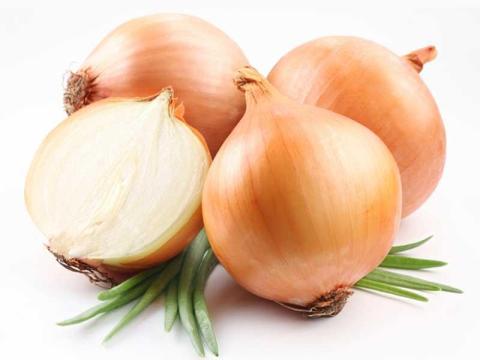 Vesztesség mentes raktározás Mobilsept technológiával