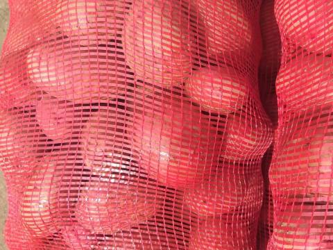 Étkezési és vetőburgonya eladó több fajtában, nagy tételben Étkezési és vetőburgonya eladó több fajtában, nagy tételben