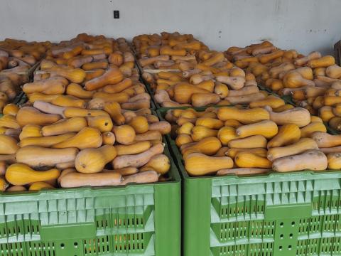 Sütőtök Sütőtök