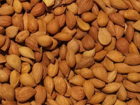 Sárgabarack Mag Eladó Postai Utánvéttel