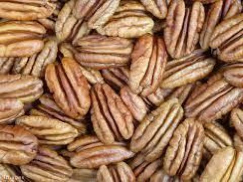 Pekan, para, makadamia dió Pekan, para, makadamia dió