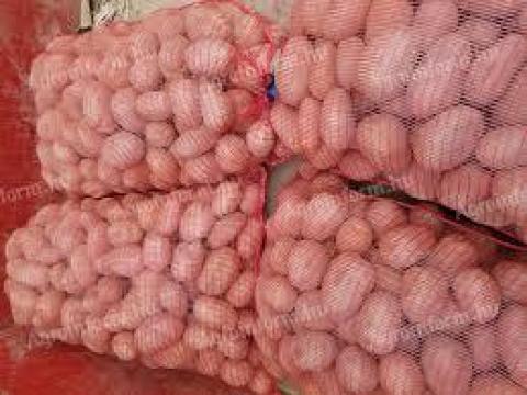 Étkezési Bellarosa burgonya eladó Étkezési Bellarosa burgonya eladó