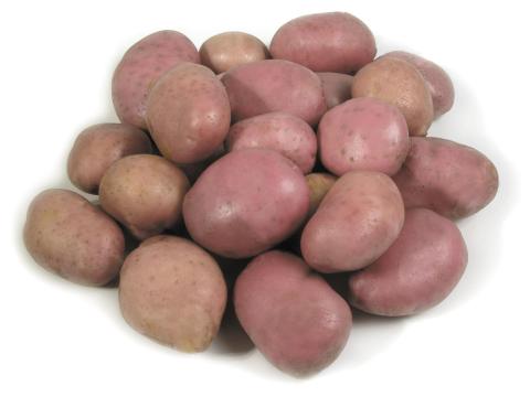 Vetőburgonya eladó – Bellarosa, UT1, közvetlenül a termelőtől Vetőburgonya eladó – Bellarosa, UT1, közvetlenül a termelőtől