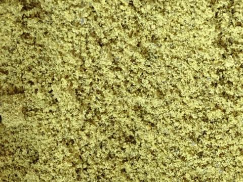 Tökmag liszt / Tökmag Őrlemény Eladó Postai úton is. Utánvéttel Tökmag liszt / Tökmag Őrlemény Eladó Postai úton is. Utánvéttel