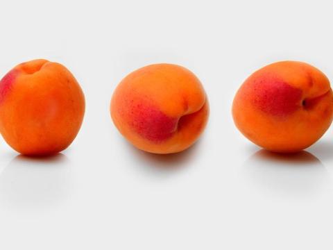 Kajszibarackot vennék nagy tételben Kajszibarackot vennék nagy tételben