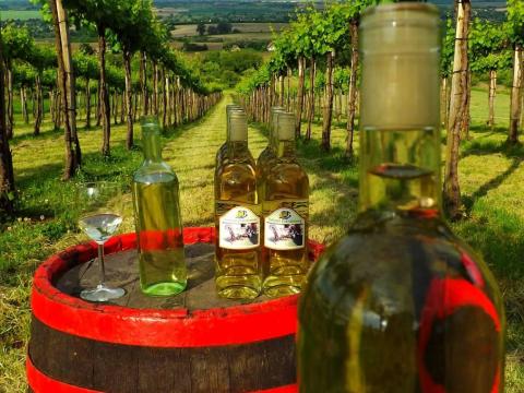 Chardonnay házi bor eladó Chardonnay házi bor eladó