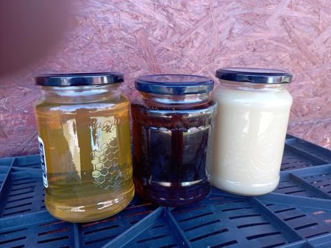 Termelői mézek eladók