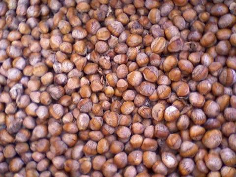 Csonthéjas Török mogyoró Csonthéjas Török mogyoró