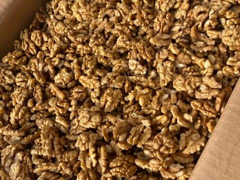 Szép, világos dióbél eladó nagy tételben Szép, világos dióbél eladó nagy tételben