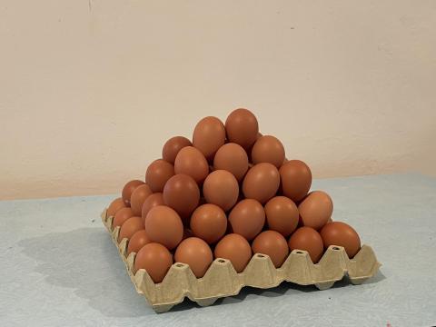 Friss termelői tojás eladó ketreces tartásból, nagy tételben is