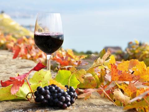 Szekszárdi vörösbor Szekszárdi vörösbor