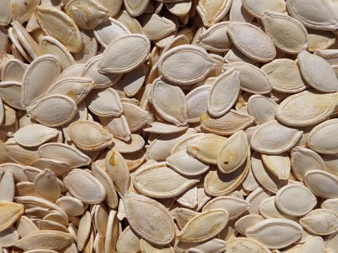 Tökmag héjas natúr étkezési tökmag eladó, akár postai szállítással is Tökmag héjas natúr étkezési tökmag eladó, akár postai szállítással is