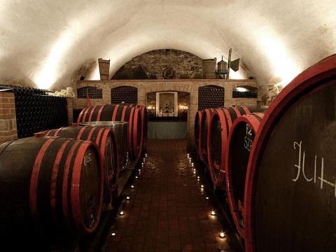 Minőségi fehérbor, borpárlat alapanyag, palackozott borok Minőségi fehérbor, borpárlat alapanyag, palackozott borok