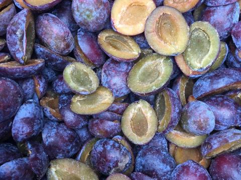 Szilva, meggy, kajszi fagyasztva, lekvárnak, cefrének eladó Szilva, meggy, kajszi fagyasztva, lekvárnak, cefrének eladó