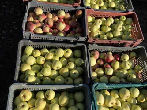 Léalma eladó Ráckevén Léalma eladó Ráckevén