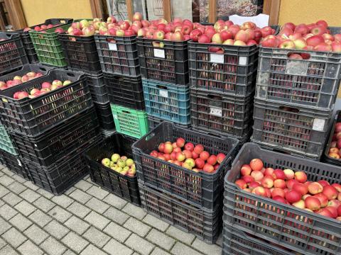 Léalma eladó kedvező áron, nagy és kis mennyiségben