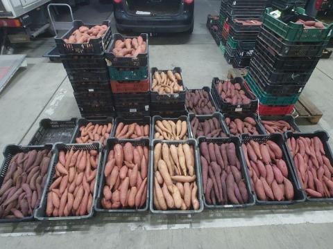 Édesburgonya - Batáta Minden Szín és Íz Édesburgonya - Batáta Minden Szín és Íz