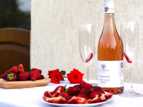 Borértékesítés Imrehegyen, saját termelésű bio- és hagyományos készítésű borainkból Borértékesítés Imrehegyen, saját termelésű bio- és hagyományos készítésű borainkból