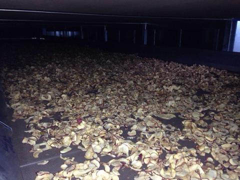 Multech MUD 12 típusú szalagos gyümölcsaszaló-szárító gép Multech MUD 12 típusú szalagos gyümölcsaszaló-szárító gép