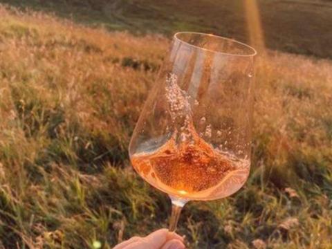 Cabernet Sauvignon rosé eladó Cabernet Sauvignon rosé eladó