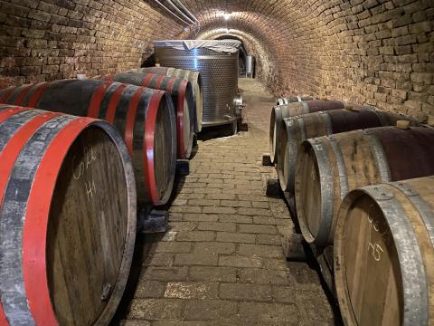 Szekszárdi minőségi termelői folyóborok Szekszárdi minőségi termelői folyóborok