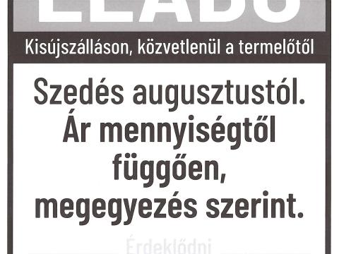 Vöröshagyma eladó Vöröshagyma eladó