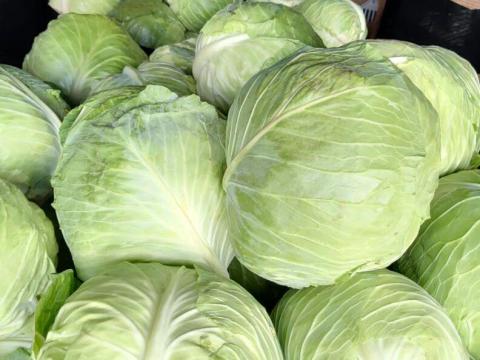 Nagykereskedelmi mennyiségben árulok fehér káposztát Nagykereskedelmi mennyiségben árulok fehér káposztát