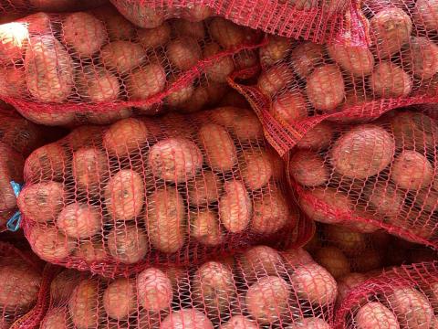 Burgonya, krumpli Burgonya, krumpli