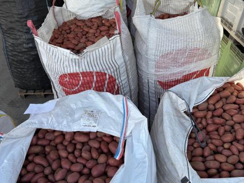 Burgonya Big Bag zsákban eladó Mórahalmon Burgonya Big Bag zsákban eladó Mórahalmon