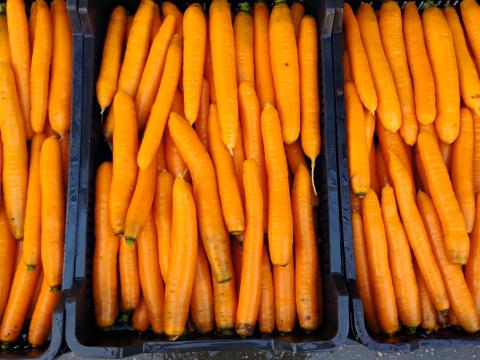 Sárgarépa Sárgarépa