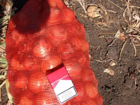 Vöröshagyma eladó Vöröshagyma eladó