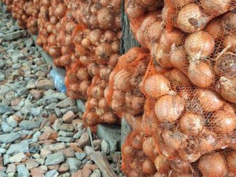 Vöröshagyma eladó