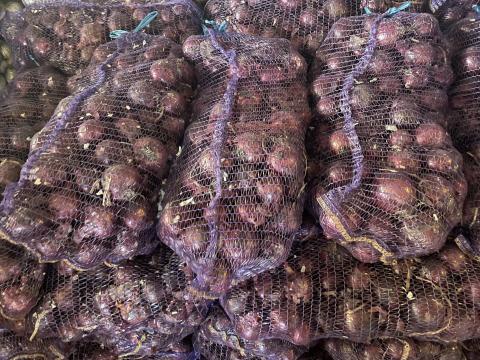 Lilahagyma termelőtől eladó Lilahagyma termelőtől eladó