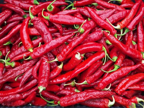 Fűszerpaprika eladó – friss termény szeptemberi szedéssel Fűszerpaprika eladó – friss termény szeptemberi szedéssel