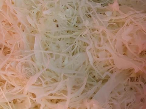 Gyalult káposzta Gyalult káposzta