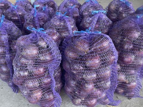 Lilahagyma ELADÓ Lilahagyma ELADÓ