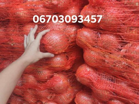 Vöröshagyma 90+ méret, 150 Ft/kg, raklapos tételben Vöröshagyma 90+ méret, 150 Ft/kg, raklapos tételben