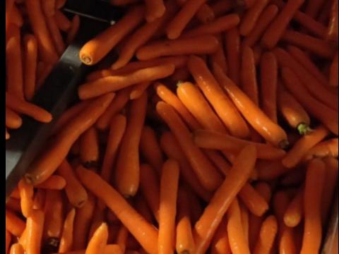 Sárgarépa / Carrots Sárgarépa / Carrots