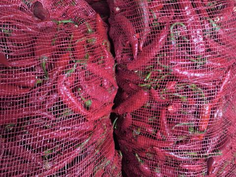 Fűszerpaprika van eladó Fűszerpaprika van eladó