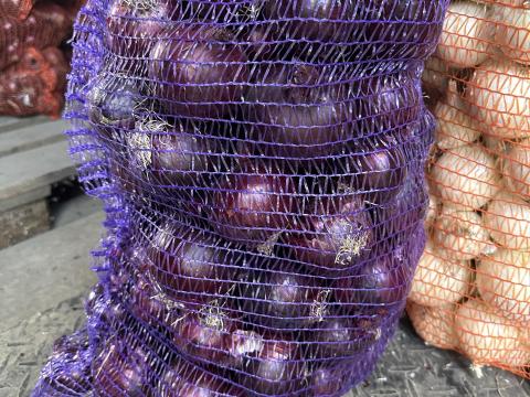 Lilahagyma eladó nagy mennyiségben Jászalsószentgyörgyön Lilahagyma eladó nagy mennyiségben Jászalsószentgyörgyön