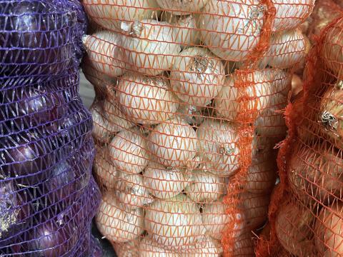 Fehérhagyma eladó Fehérhagyma eladó