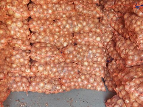 Vöröshagyma eladó nagy tételben, saját termesztésből Vöröshagyma eladó nagy tételben, saját termesztésből