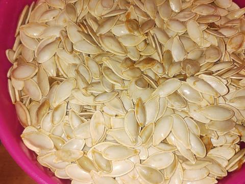 Friss, kézzel szedett sütni való tökmag eladó Friss, kézzel szedett sütni való tökmag eladó